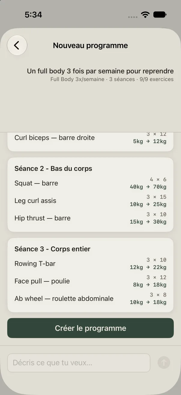 Palestra Coach: a proposed program with sets, reps and loads